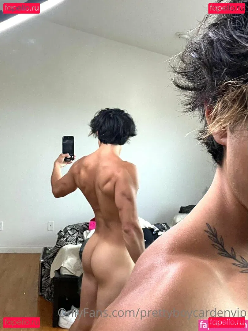 aedanvip Onlyfans Photo Gallery 