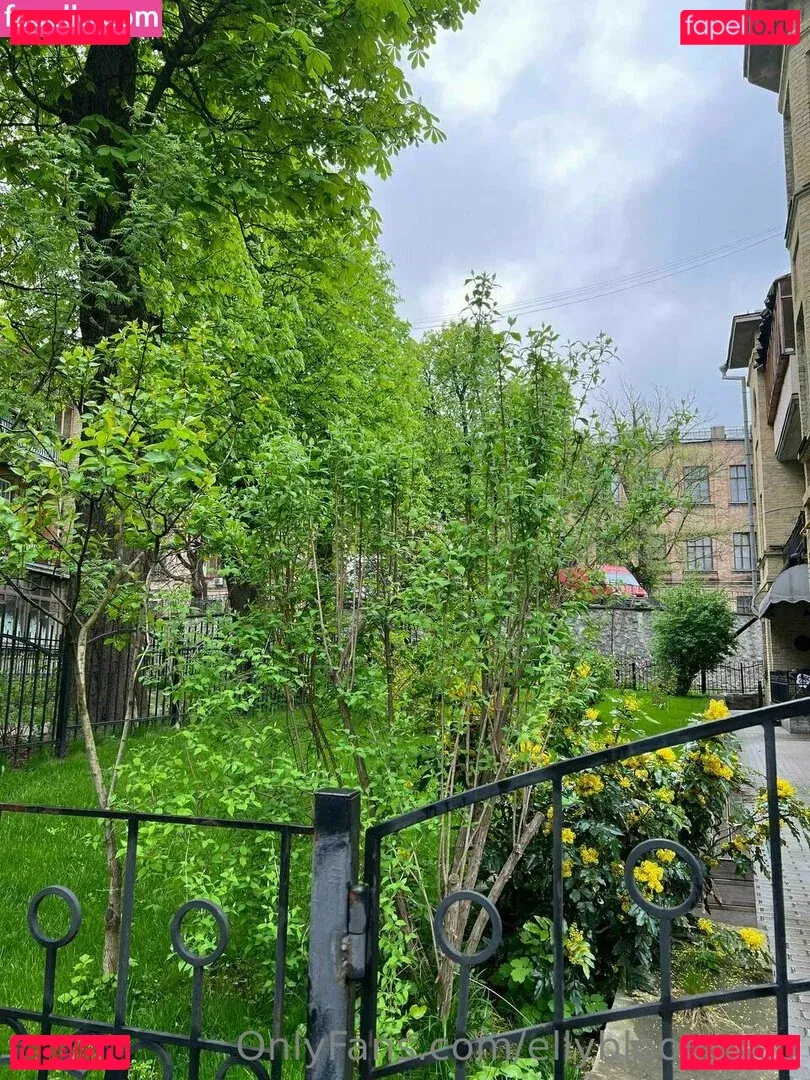 ellybloom_vip Onlyfans Photo Gallery 