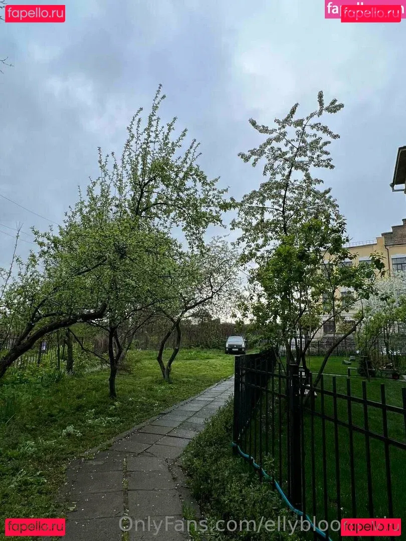 ellybloom_vip Onlyfans Photo Gallery 