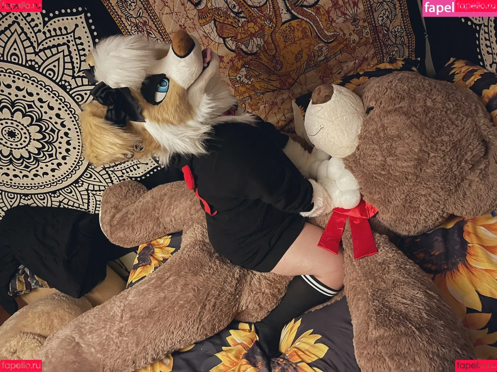 Murrsuit Onlyfans Photo Gallery 