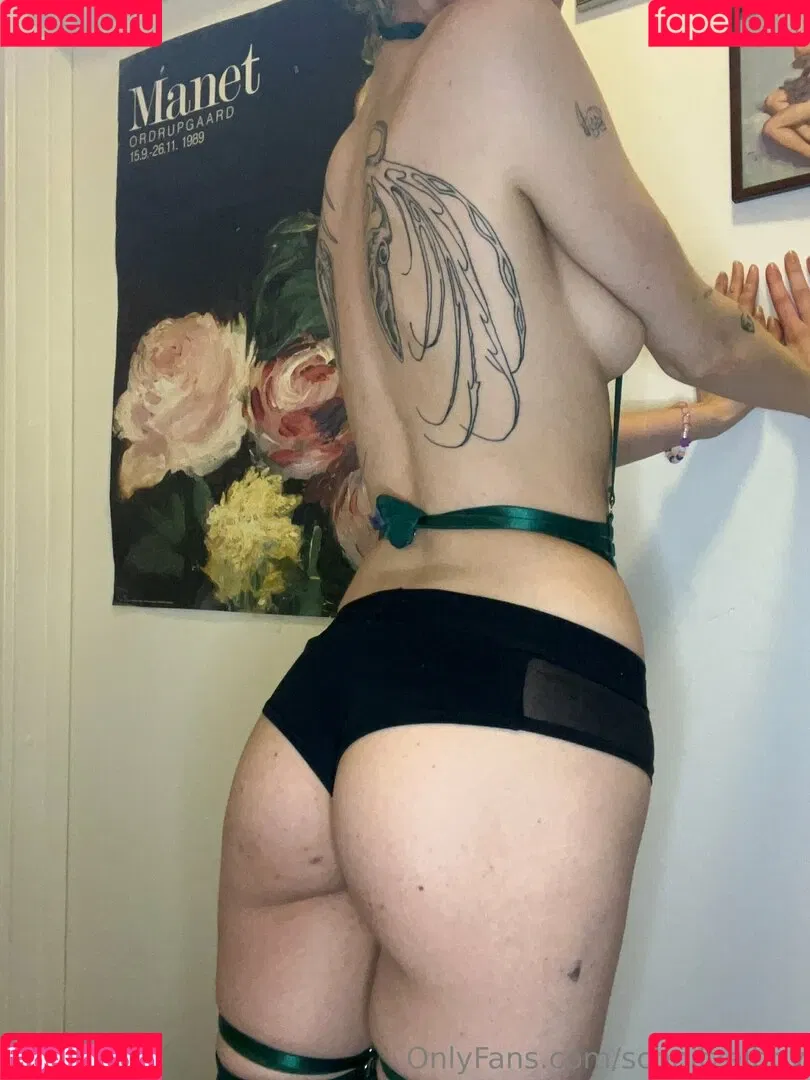 schnitzelbby Onlyfans Photo Gallery 