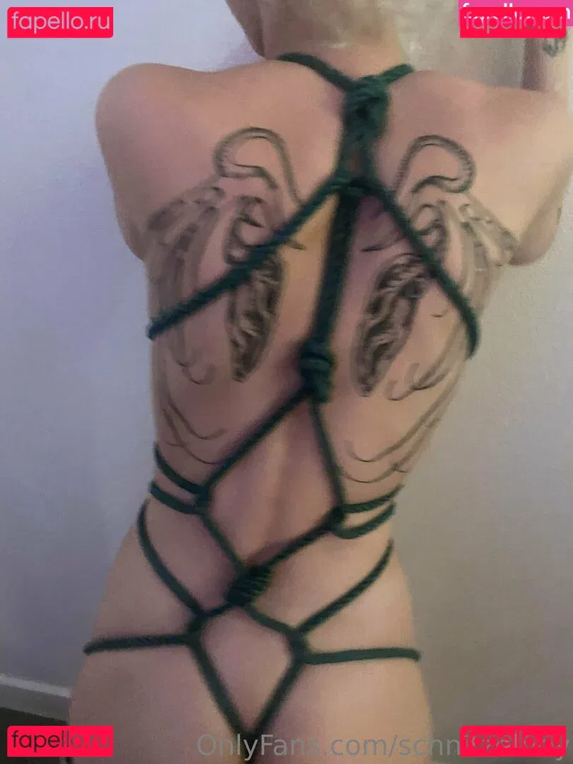 schnitzelbby Onlyfans Photo Gallery 