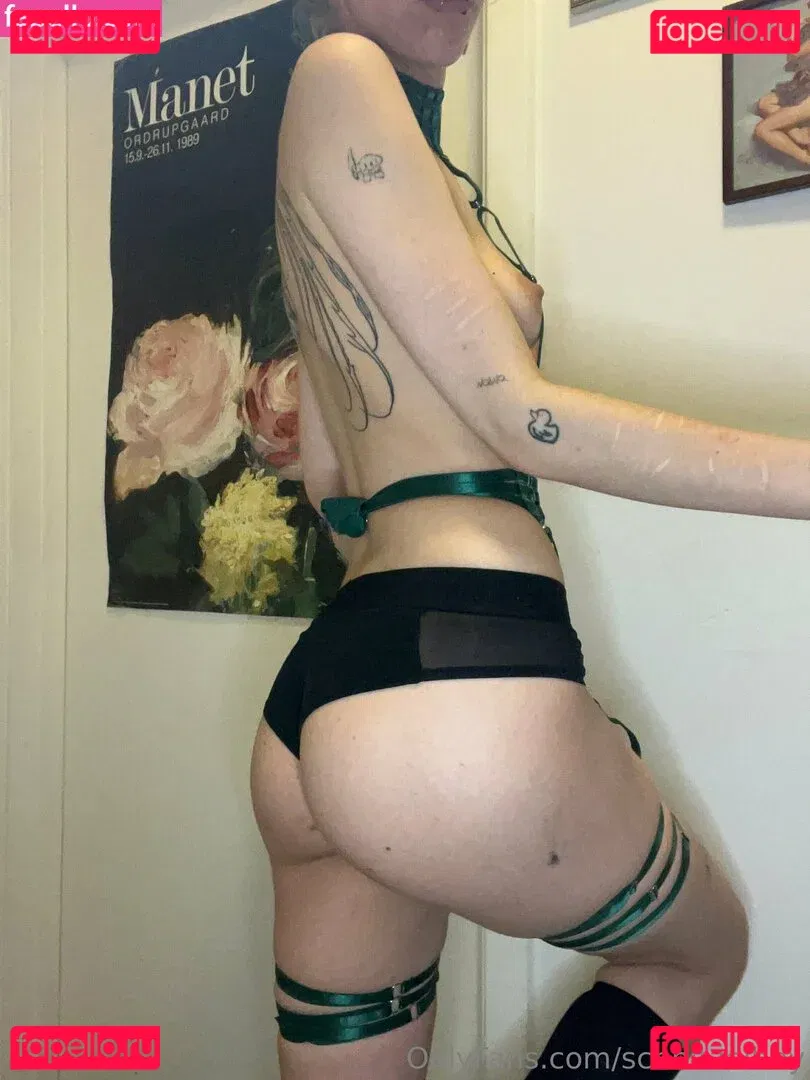 schnitzelbby Onlyfans Photo Gallery 