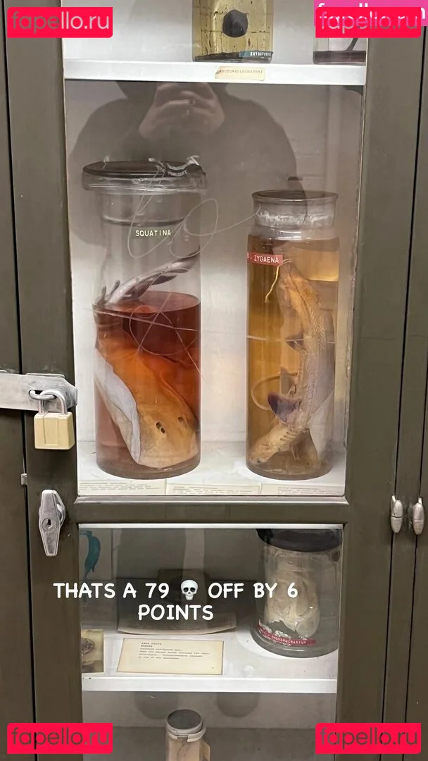 thespicysalmonroll Onlyfans Photo Gallery 