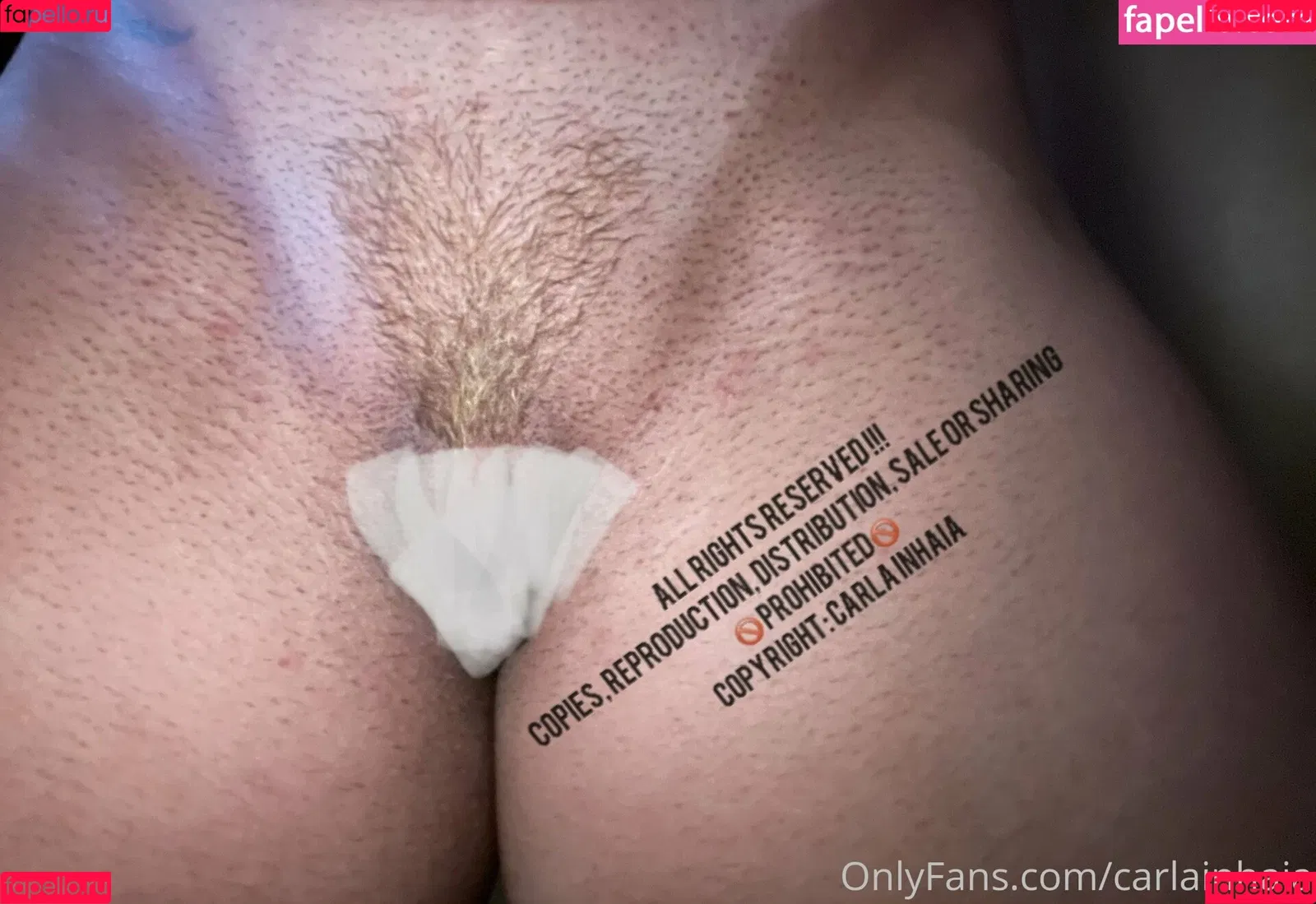 carlainhaia Onlyfans Photo Gallery 