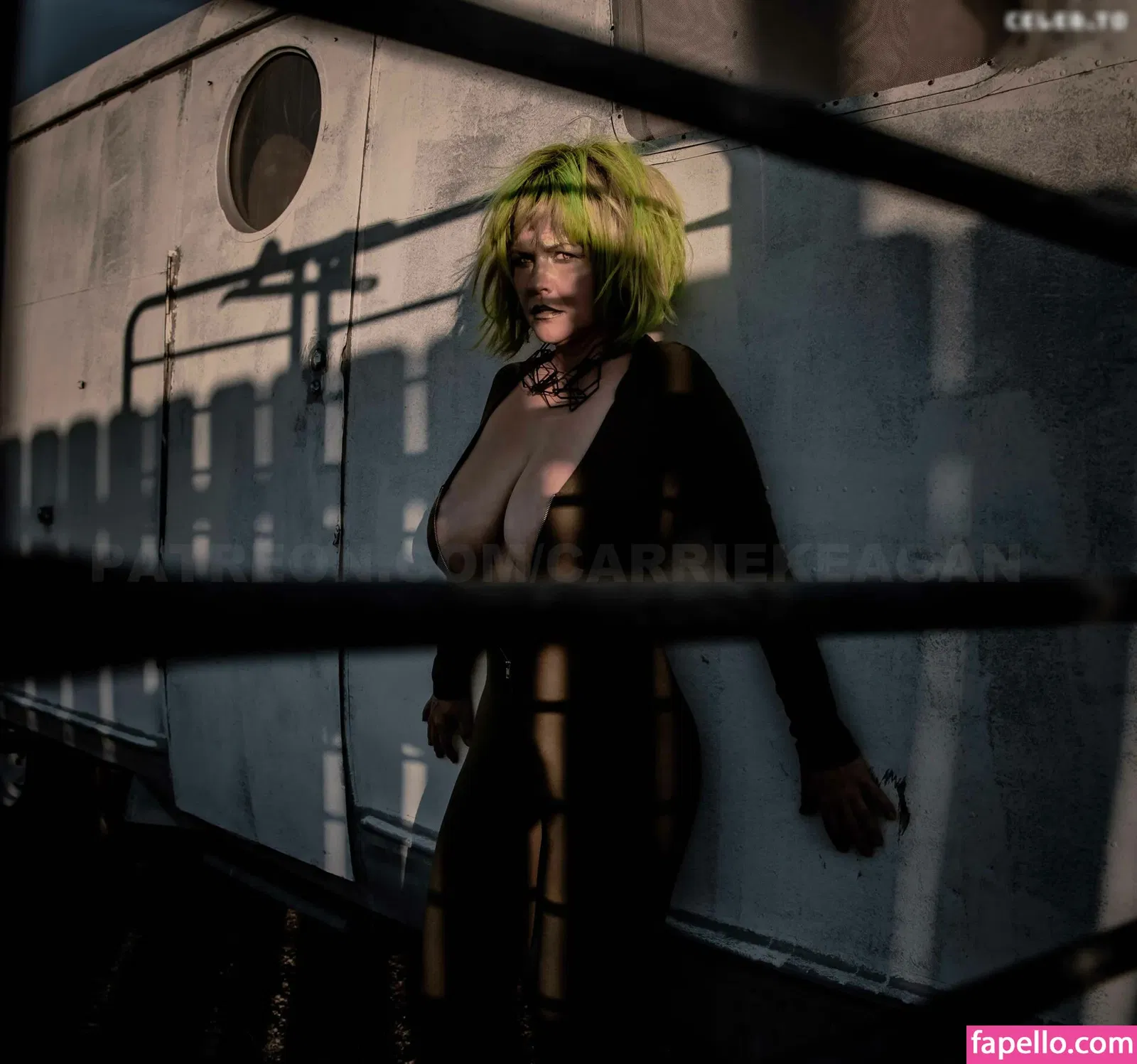 Carrie Keagan Onlyfans Photo Gallery 