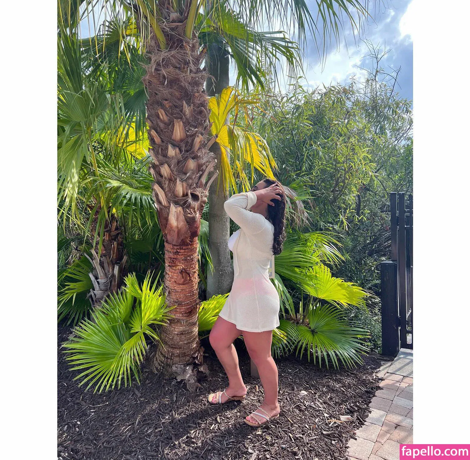 Veronica Correia Onlyfans Photo Gallery 