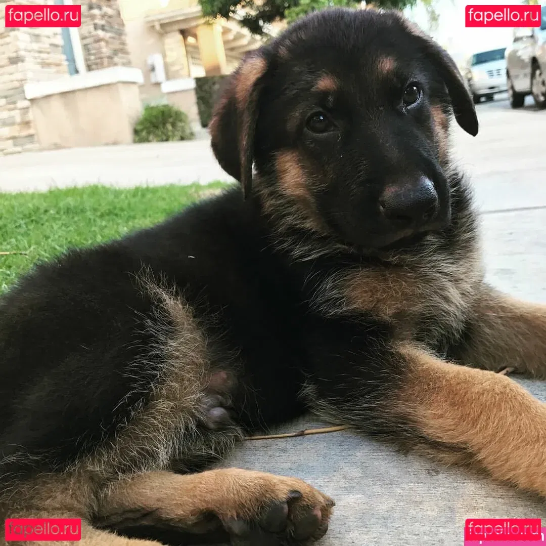 Kimi McFarland Onlyfans Photo Gallery 