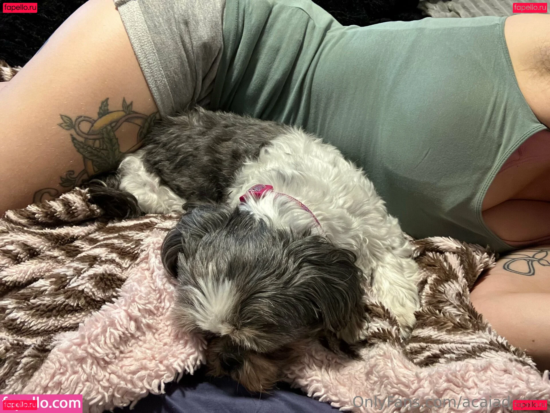 acaiadynna Onlyfans Photo Gallery 