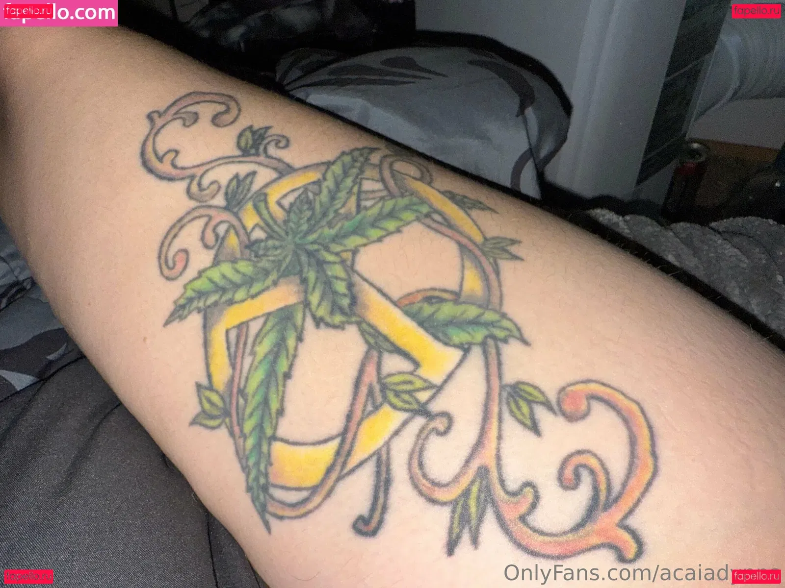 acaiadynna Onlyfans Photo Gallery 