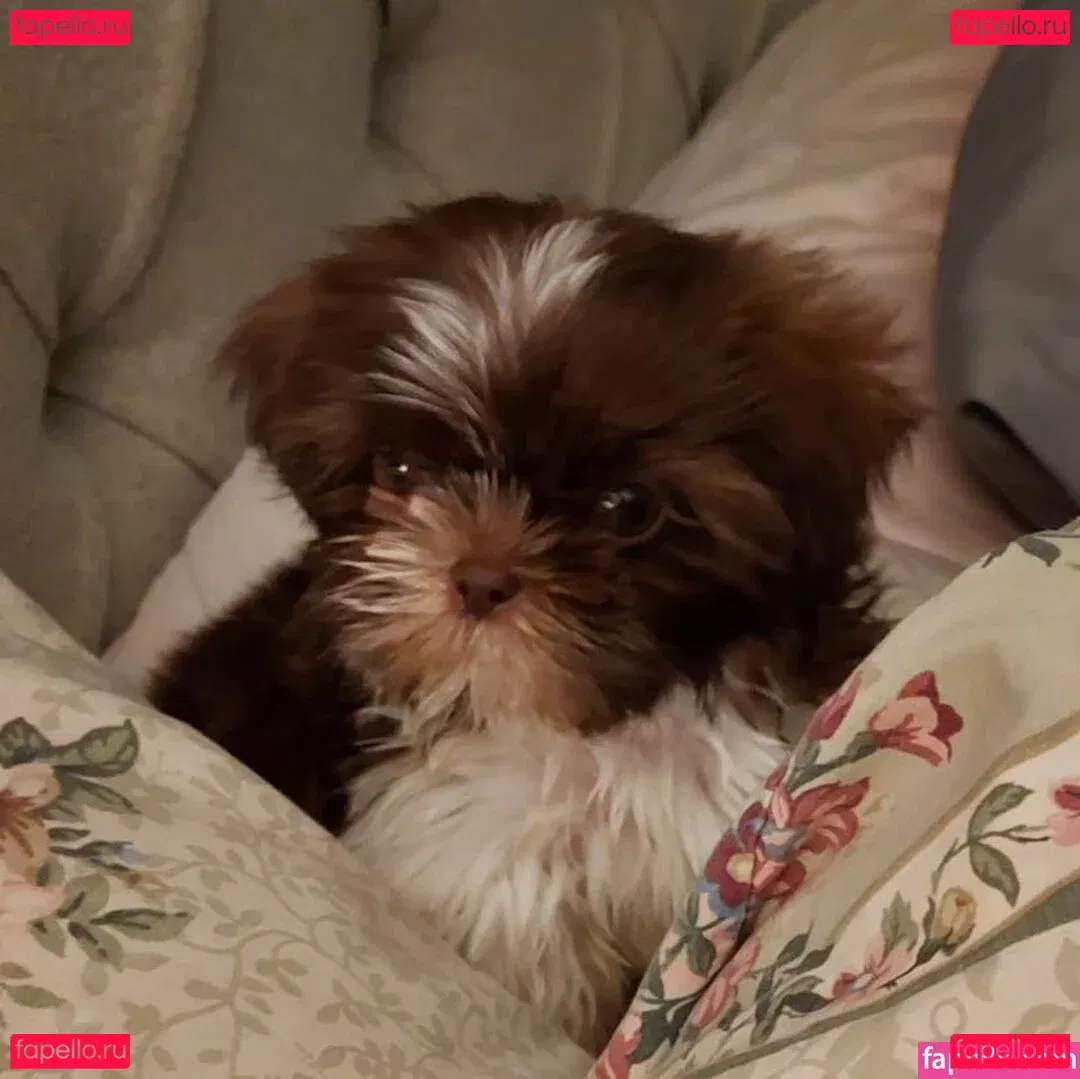 LanaRN Onlyfans Photo Gallery 