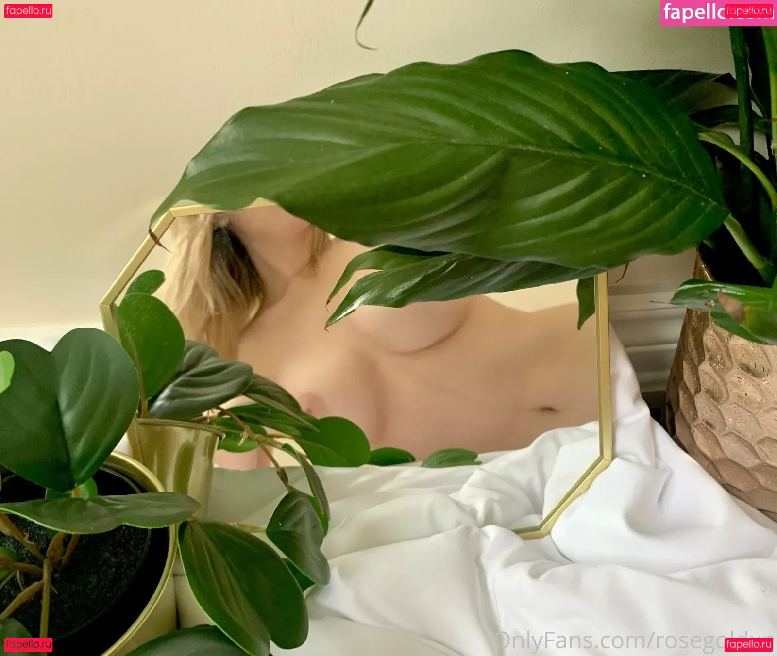 rosegoldxn Onlyfans Photo Gallery 