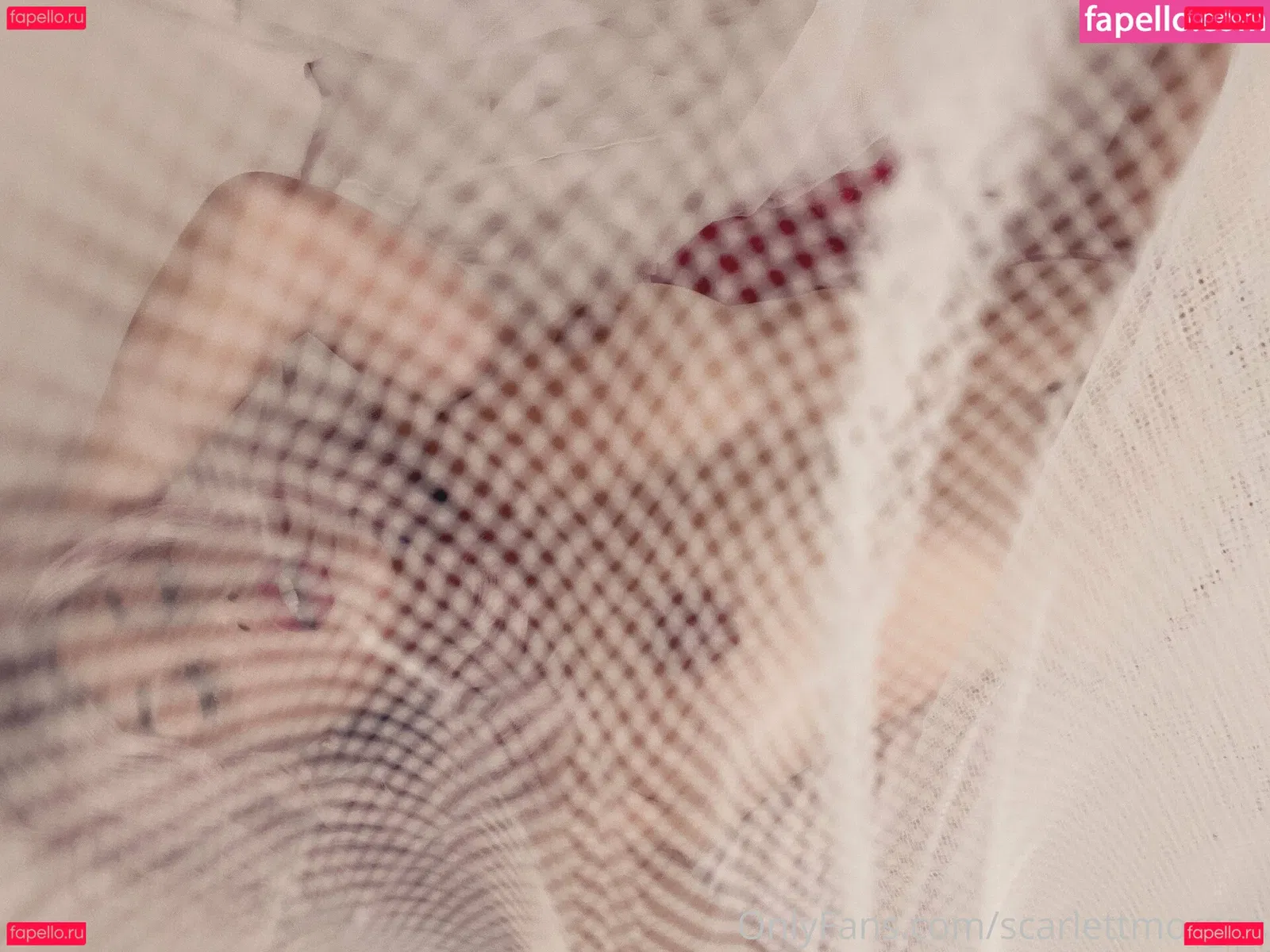 Morgan B Onlyfans Photo Gallery 