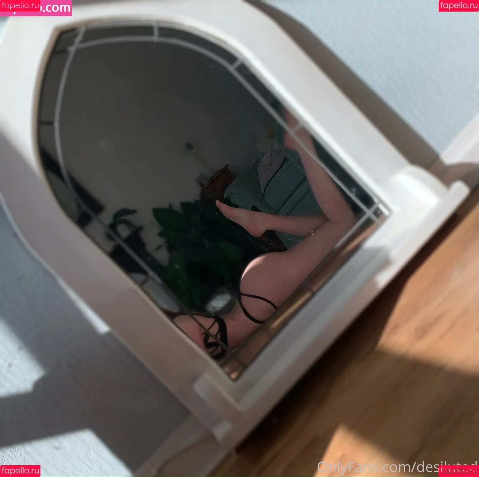 Desiluted Onlyfans Photo Gallery 