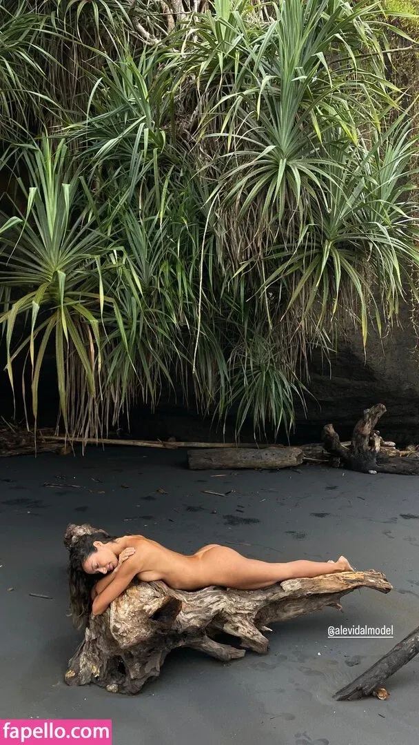 Alejandra Vidal Onlyfans Photo Gallery 