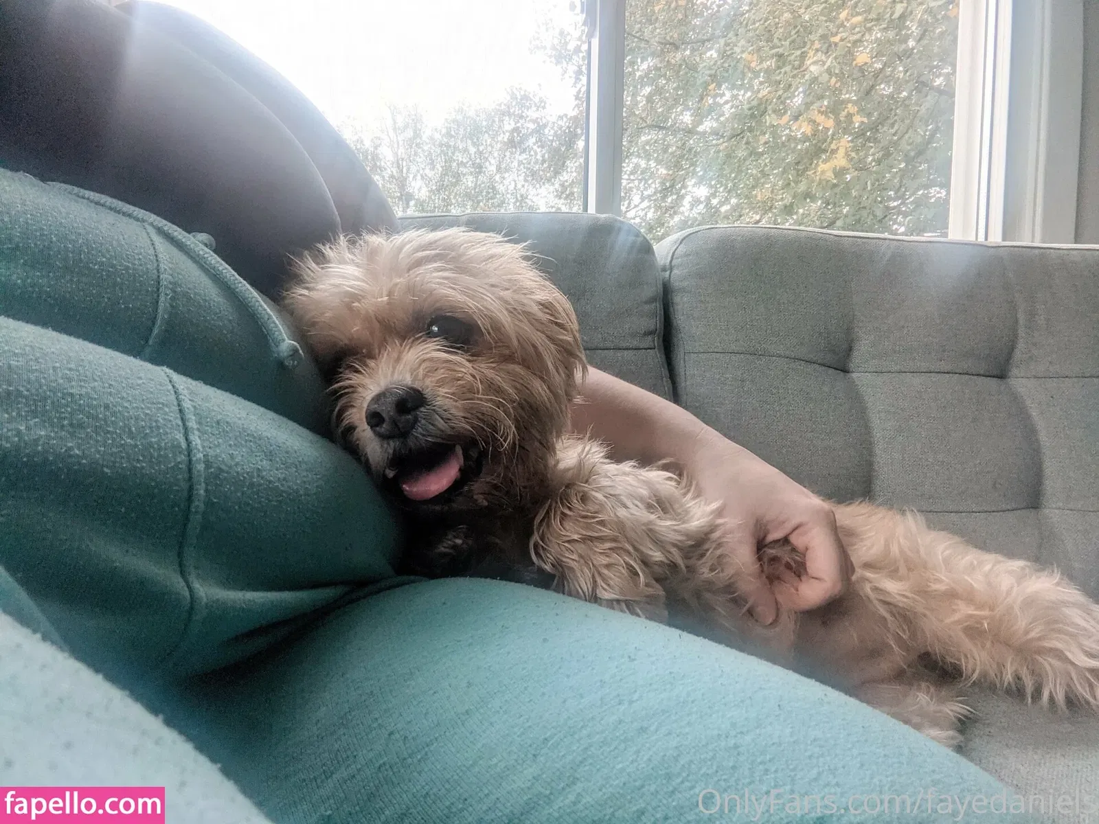 fayedaniels Onlyfans Photo Gallery 