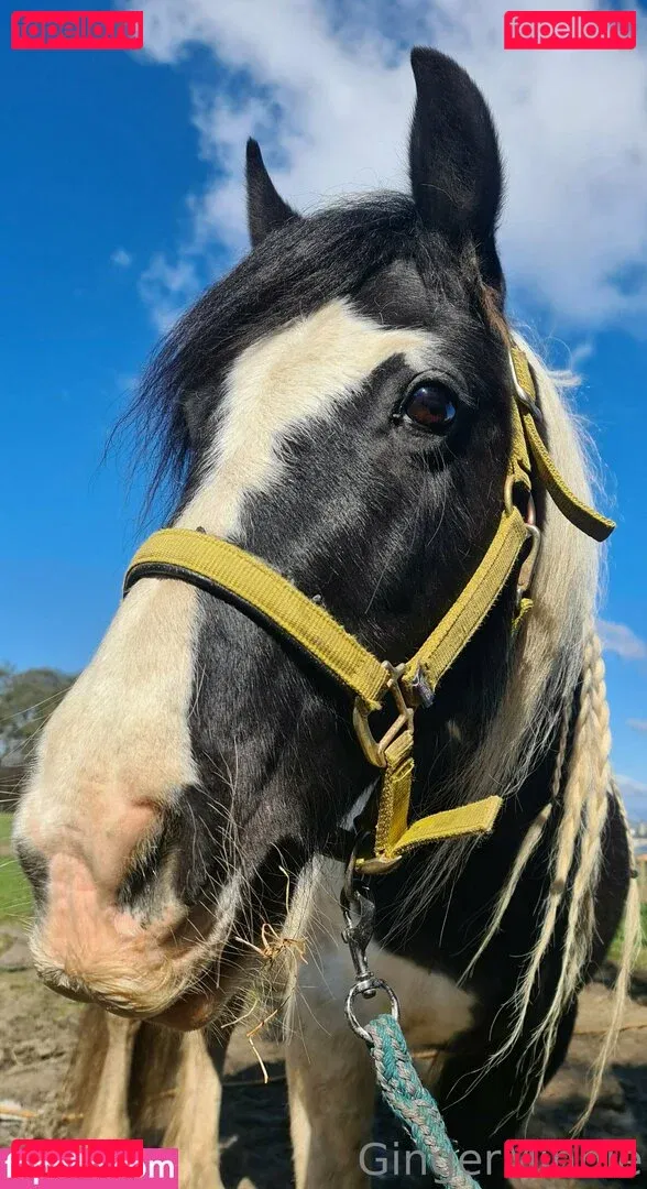 gingerminniemfc Onlyfans Photo Gallery 