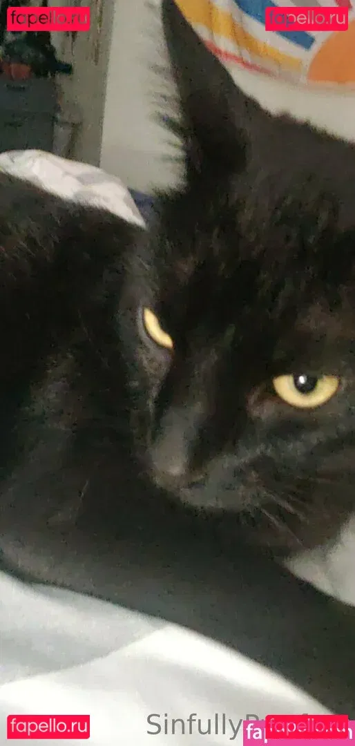 sinfullypurrfuct Onlyfans Photo Gallery 