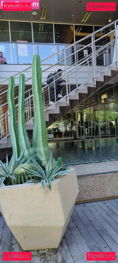 sinfullypurrfuct Onlyfans Photo Gallery 