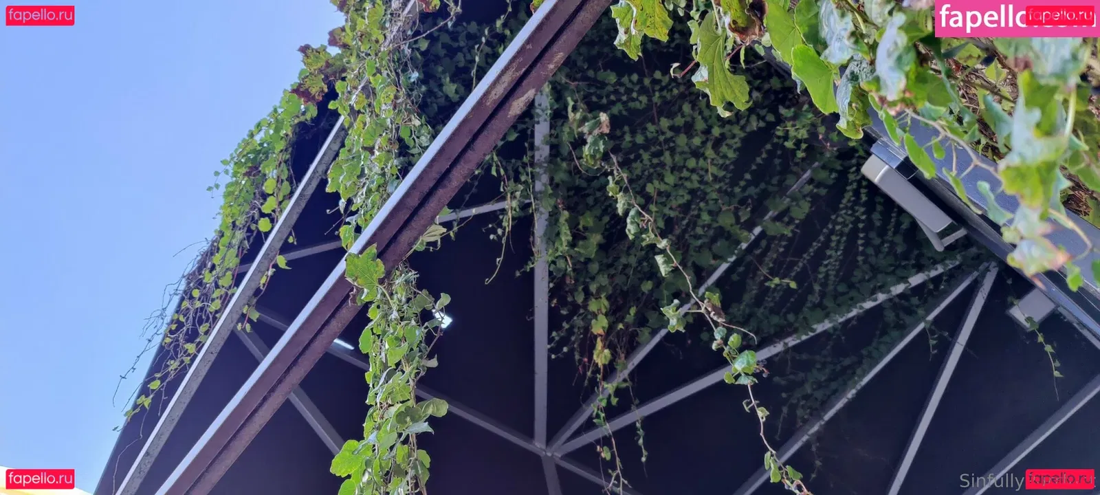 sinfullypurrfuct Onlyfans Photo Gallery 