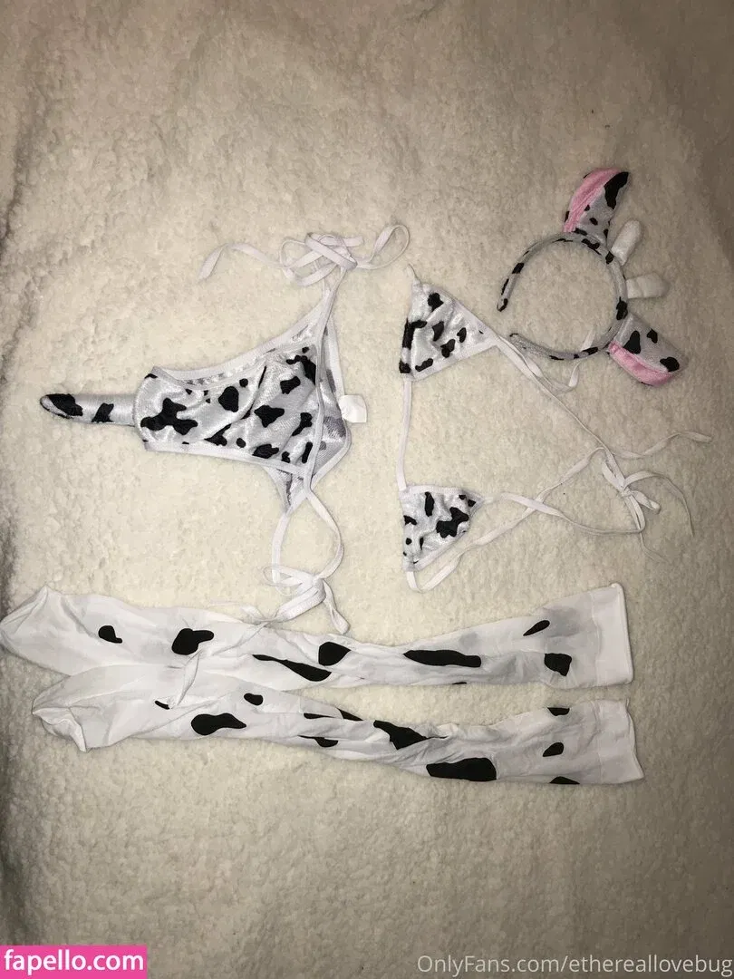 Ethereallovebug Onlyfans Photo Gallery 