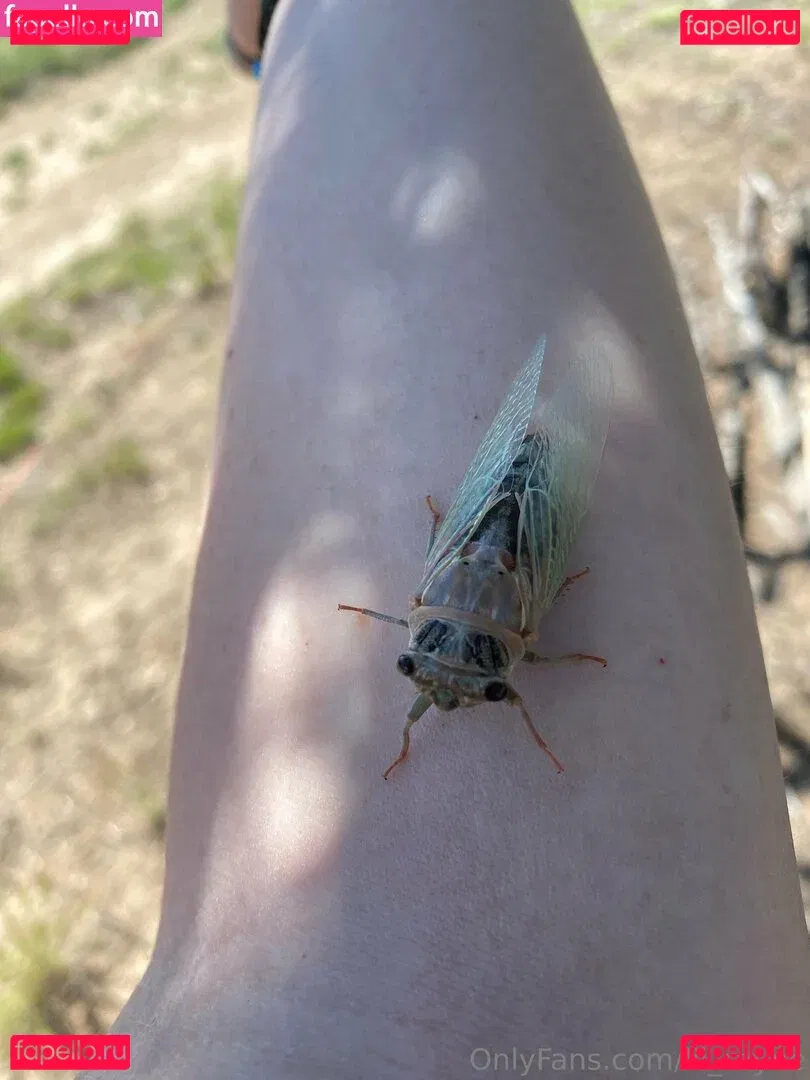 lil_rayne Onlyfans Photo Gallery 