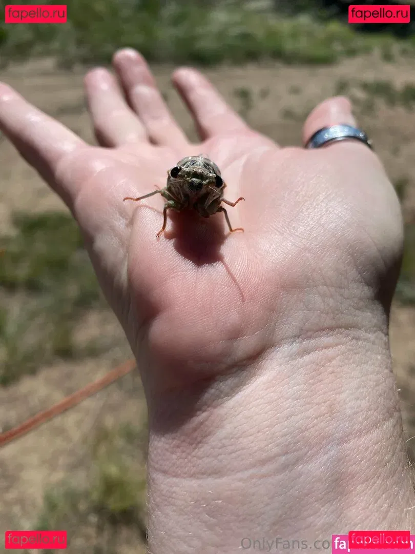 lil_rayne Onlyfans Photo Gallery 