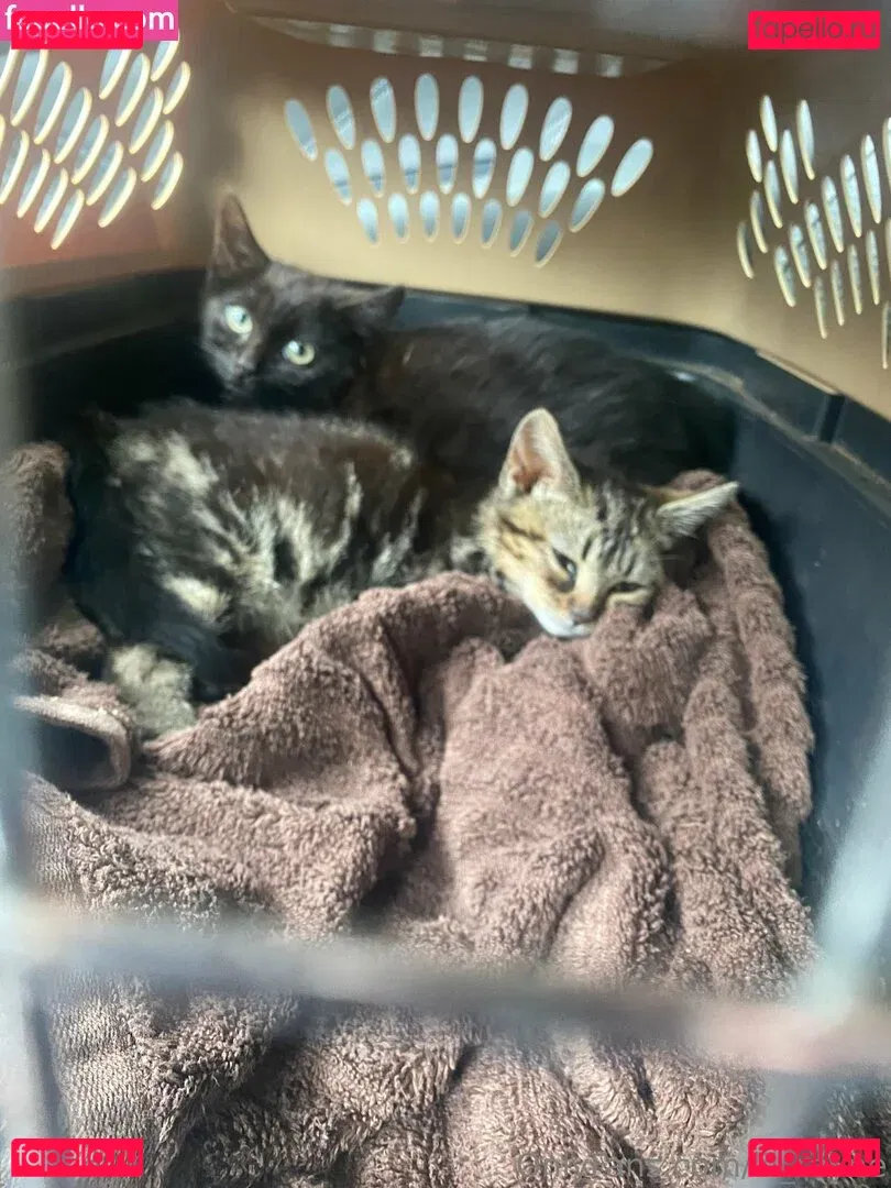 lil_rayne Onlyfans Photo Gallery 