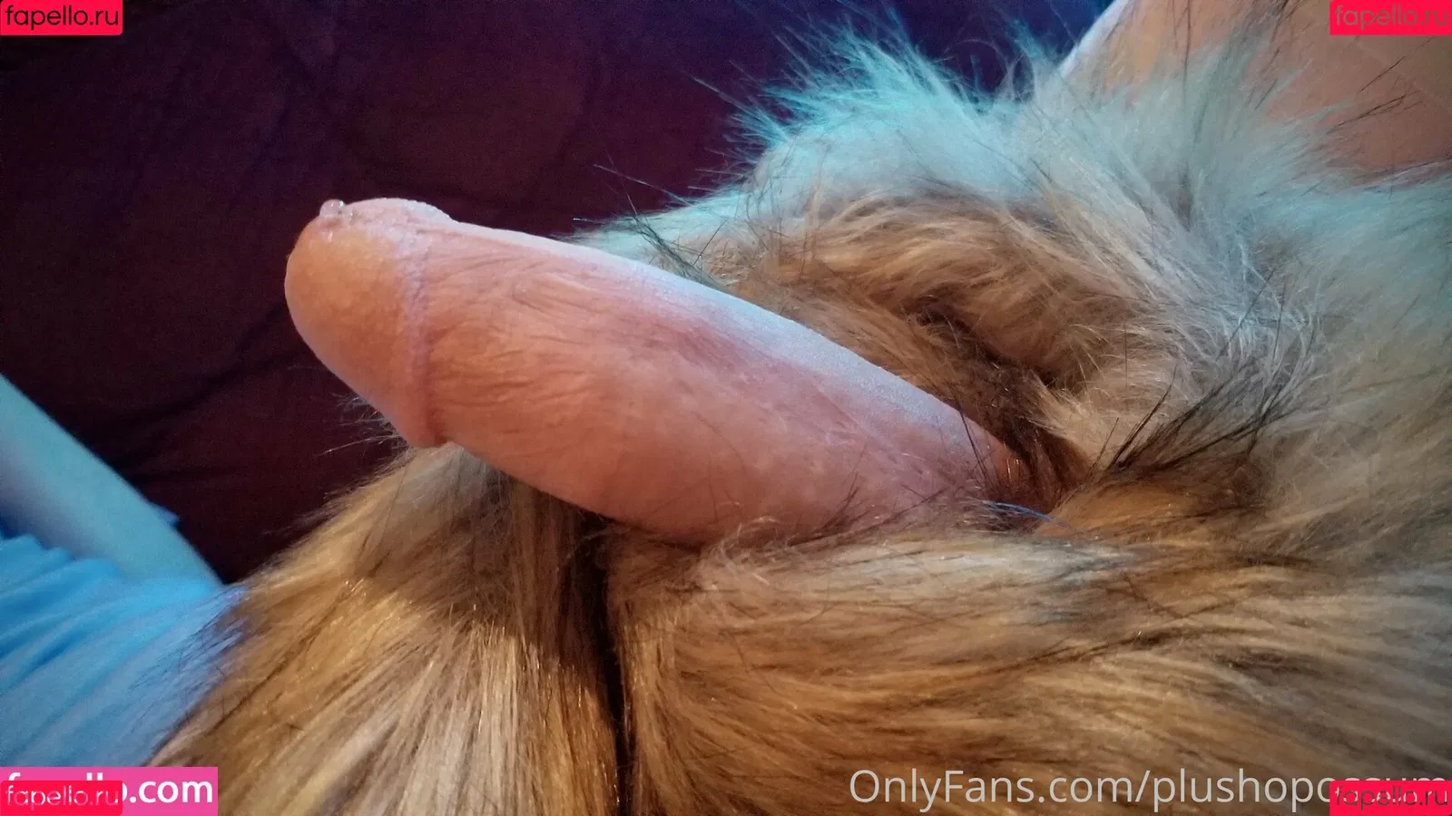 plushopossum Onlyfans Photo Gallery 