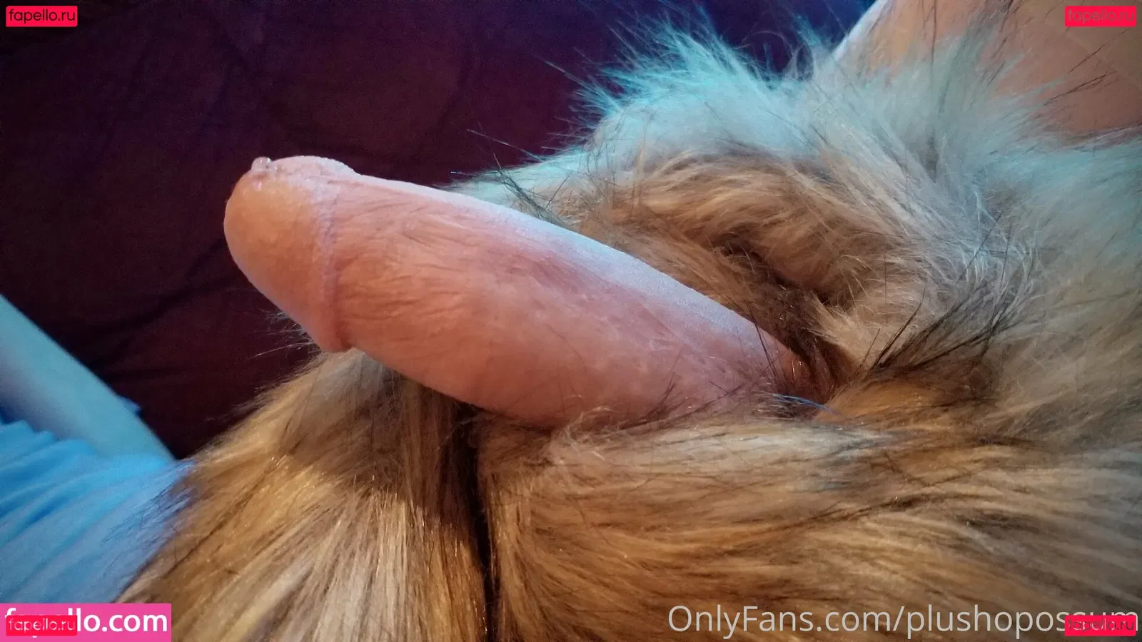 plushopossum Onlyfans Photo Gallery 
