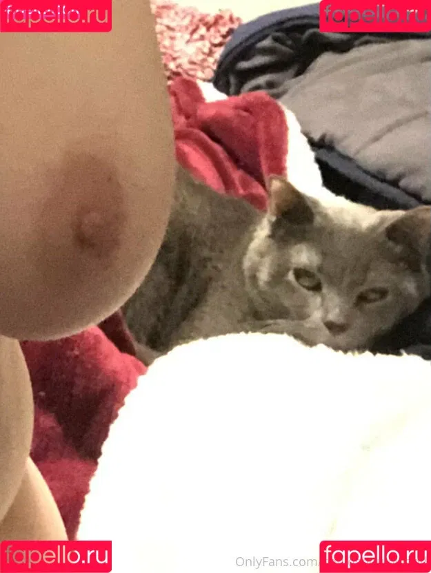 couldshouldwood Onlyfans Photo Gallery 