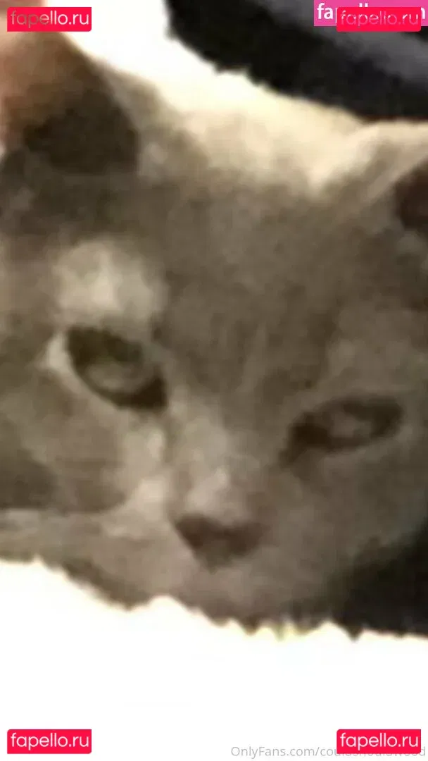 couldshouldwood Onlyfans Photo Gallery 