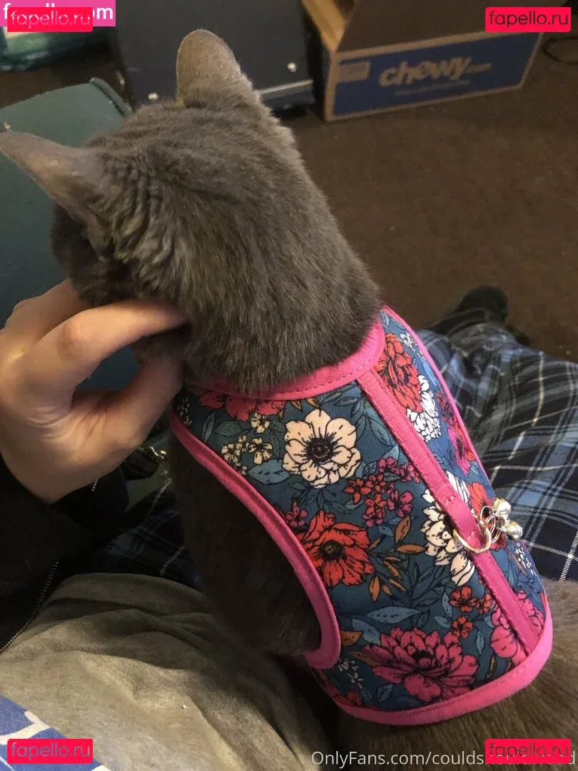 couldshouldwood Onlyfans Photo Gallery 