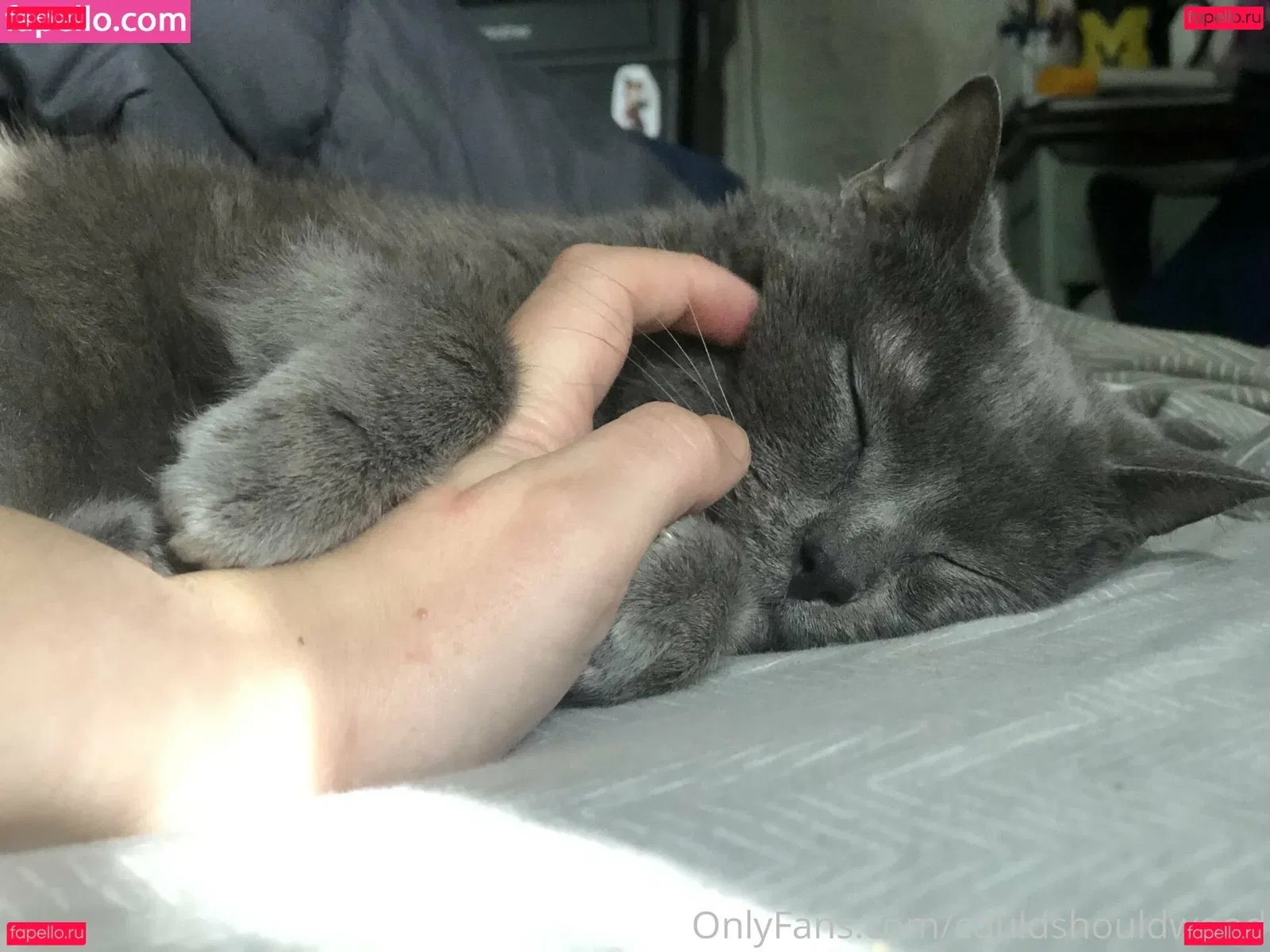 couldshouldwood Onlyfans Photo Gallery 