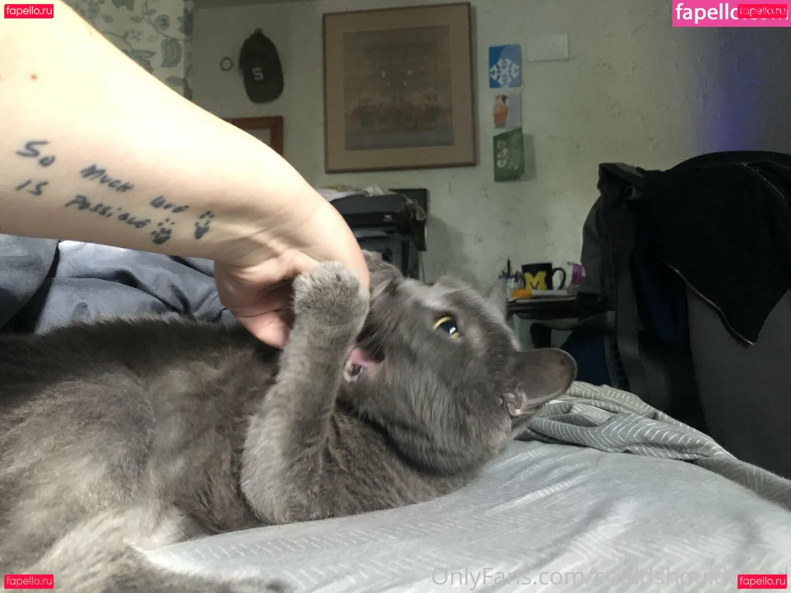 couldshouldwood Onlyfans Photo Gallery 