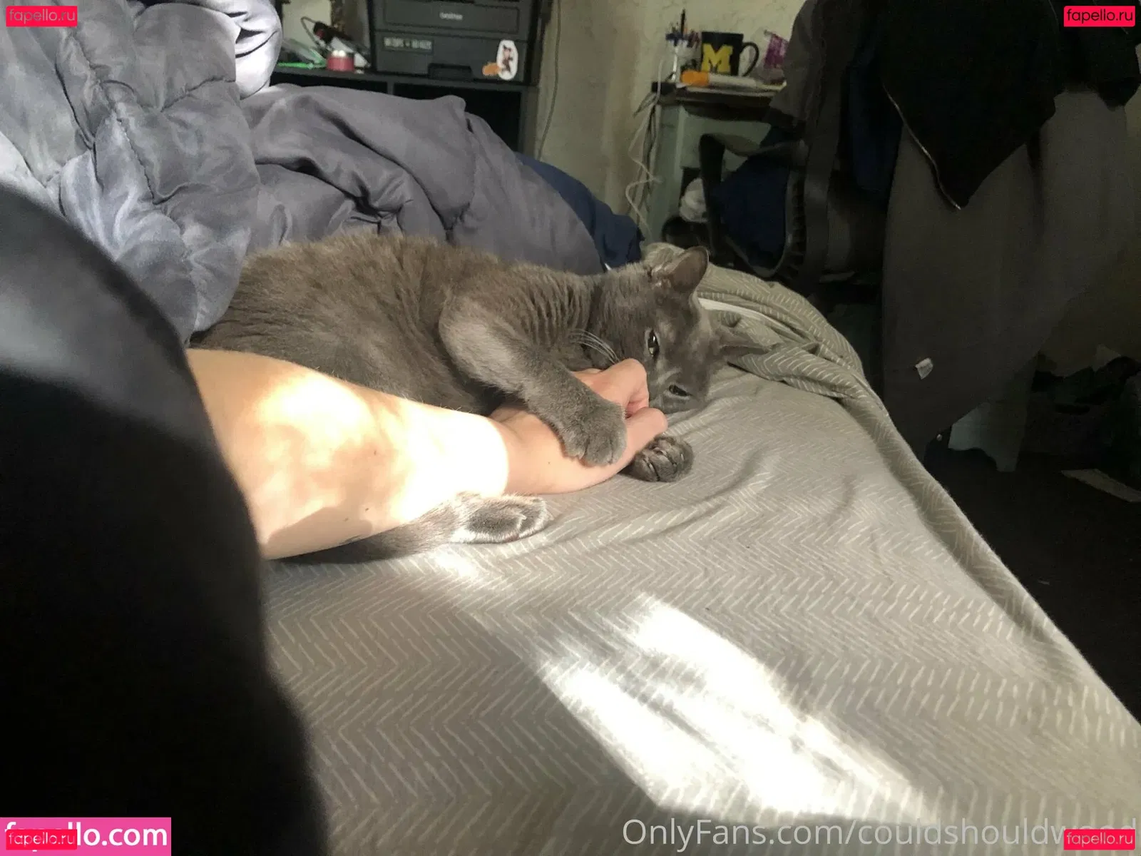 couldshouldwood Onlyfans Photo Gallery 