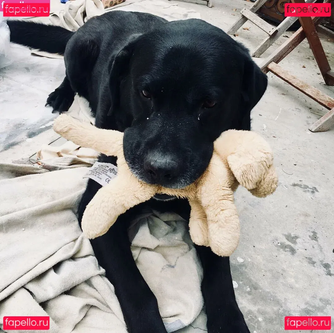 Dommmi Onlyfans Photo Gallery 