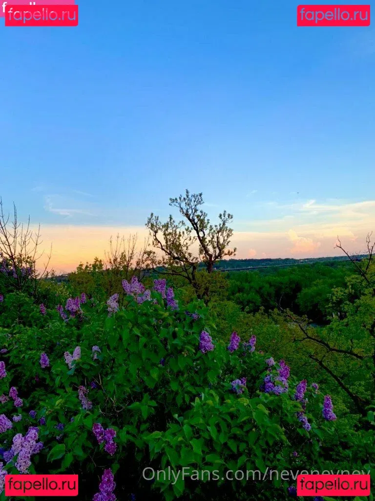 nevenevnev Onlyfans Photo Gallery 