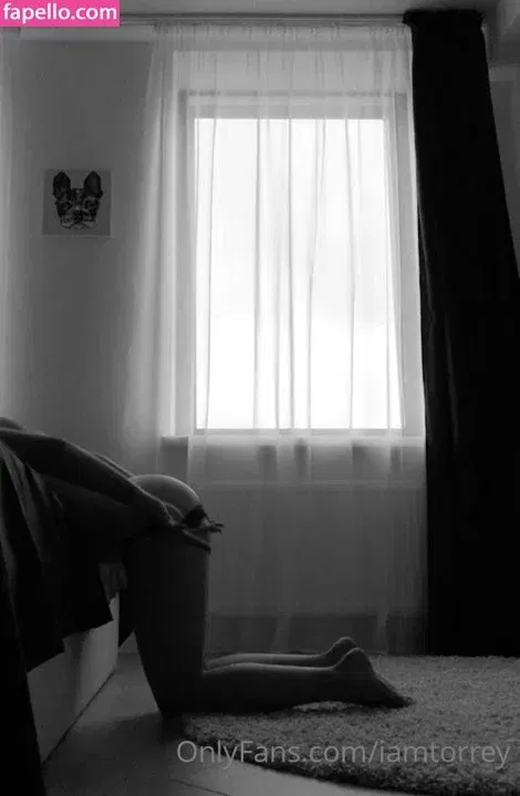 iamtorrey Onlyfans Photo Gallery 