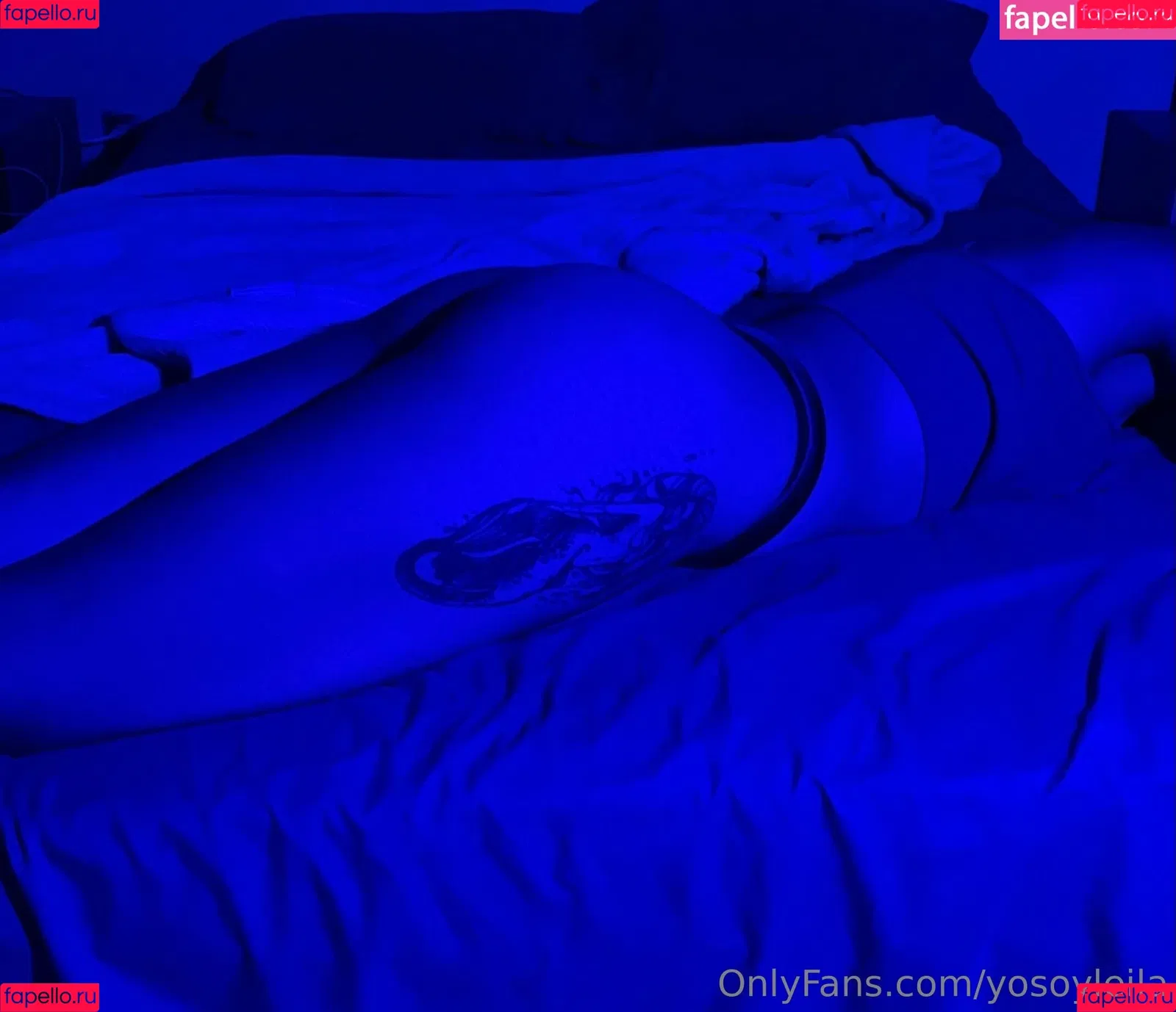 yosoyleila Onlyfans Photo Gallery 