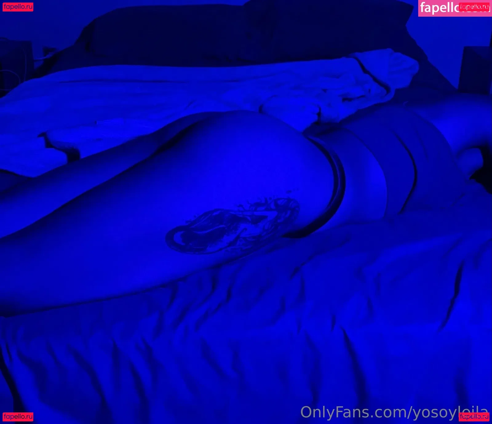 yosoyleila Onlyfans Photo Gallery 