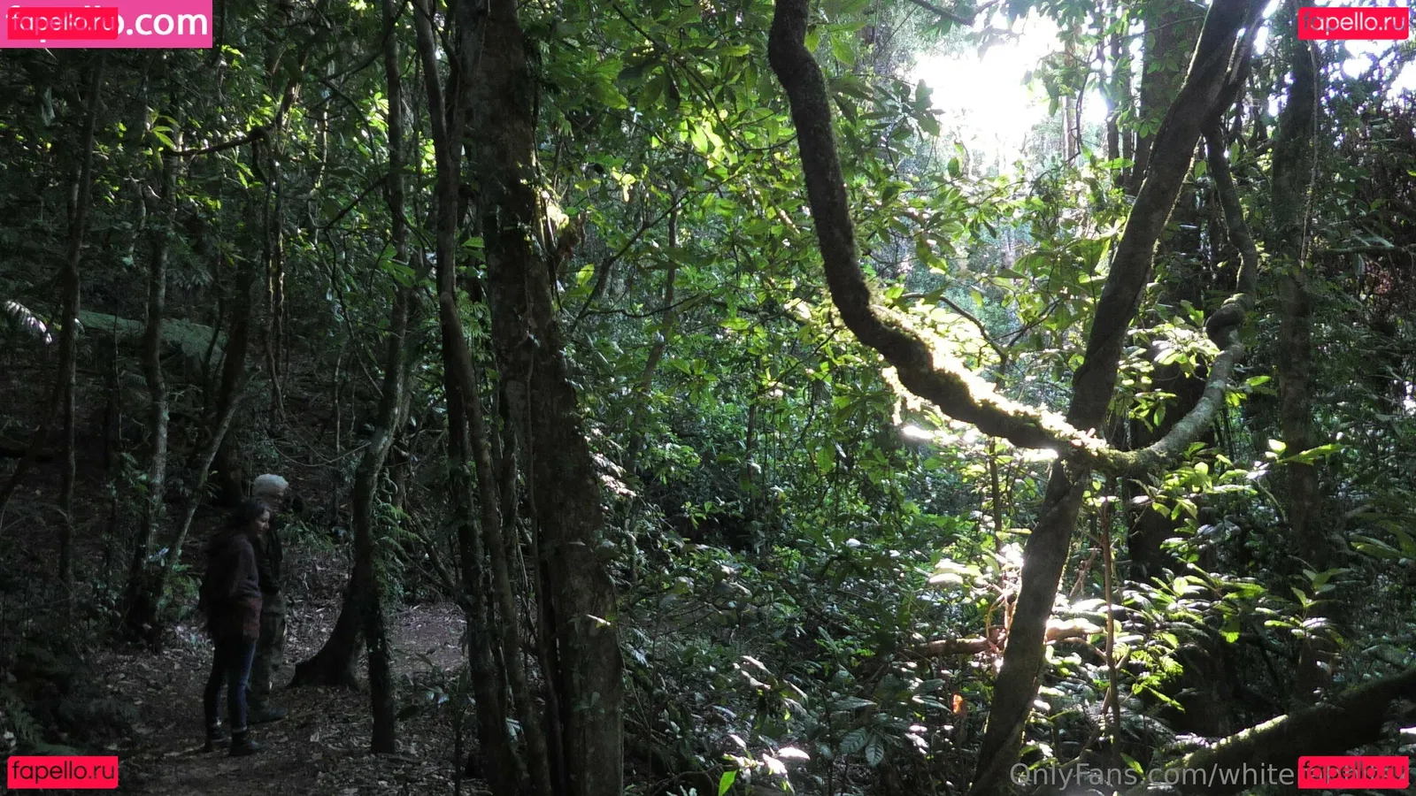 whiterabbitsx Onlyfans Photo Gallery 