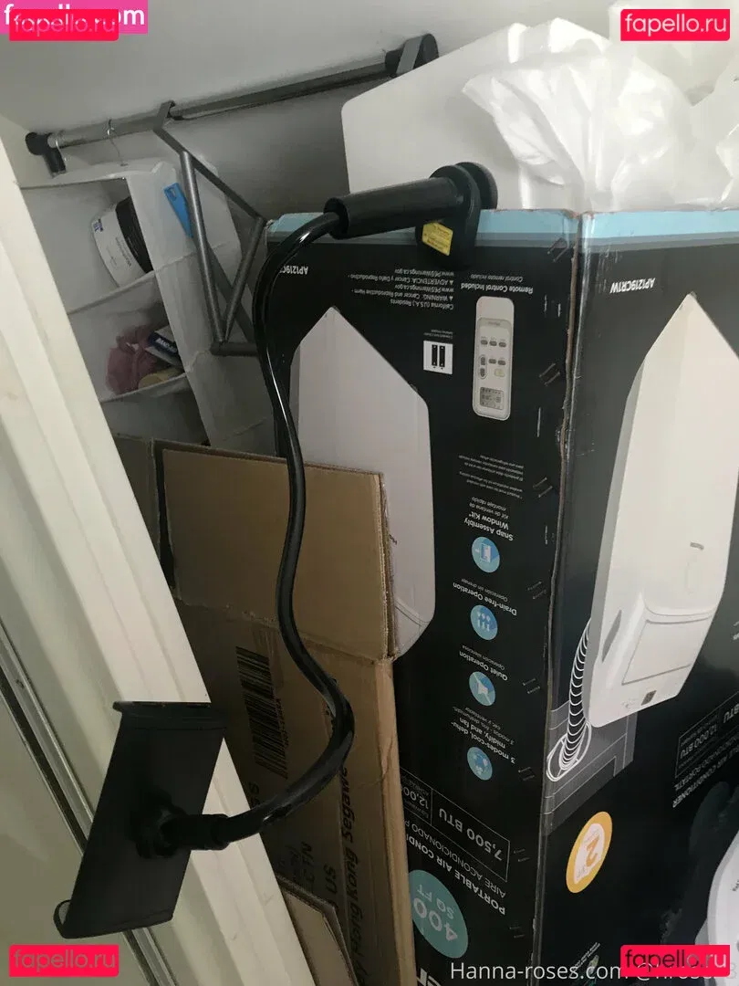 myrose0413 Onlyfans Photo Gallery 