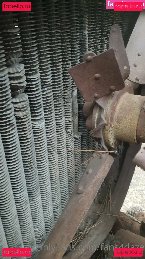 fans4daze Onlyfans Photo Gallery 