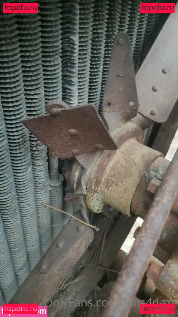 fans4daze Onlyfans Photo Gallery 