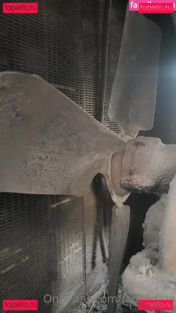 fans4daze Onlyfans Photo Gallery 