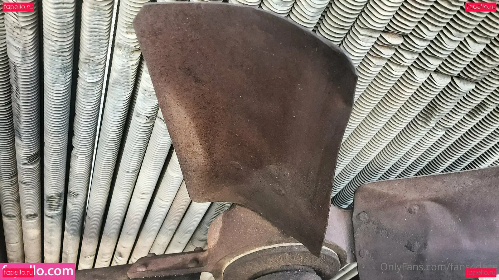 fans4daze Onlyfans Photo Gallery 