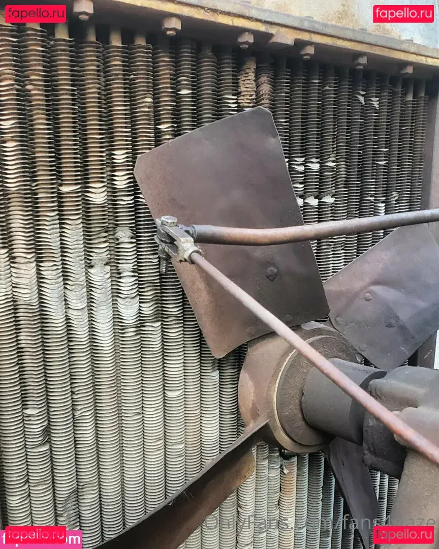 fans4daze Onlyfans Photo Gallery 