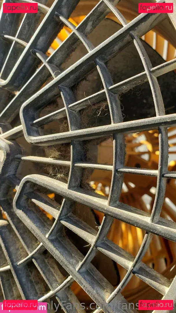 fans4daze Onlyfans Photo Gallery 