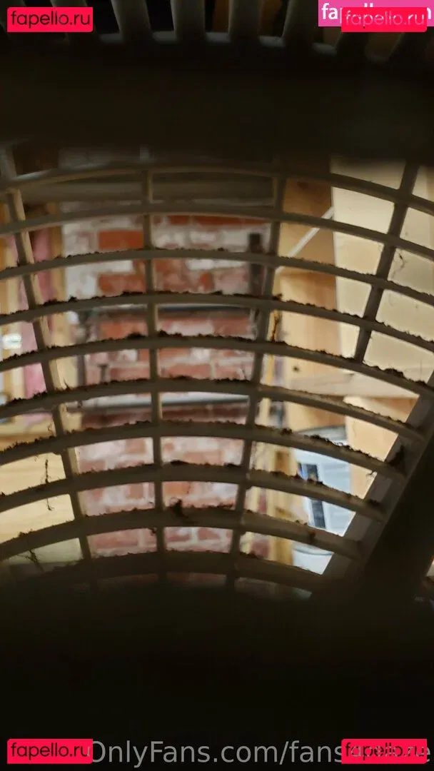 fans4daze Onlyfans Photo Gallery 